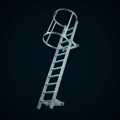Access ladders